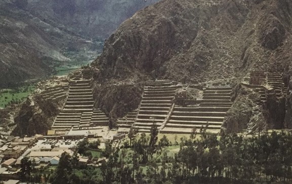 7. Llama at Ollantaytambo Used with permission by Aedo Productions publisher. Credits Fernando Elorrieta