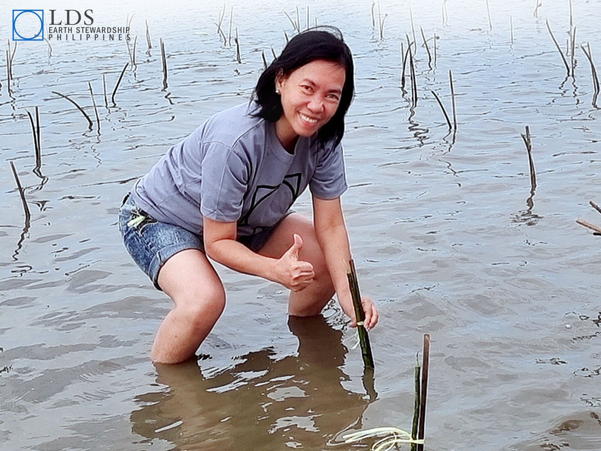 Copy of LDSES Mangrove Planting Cavite City 02282023 01