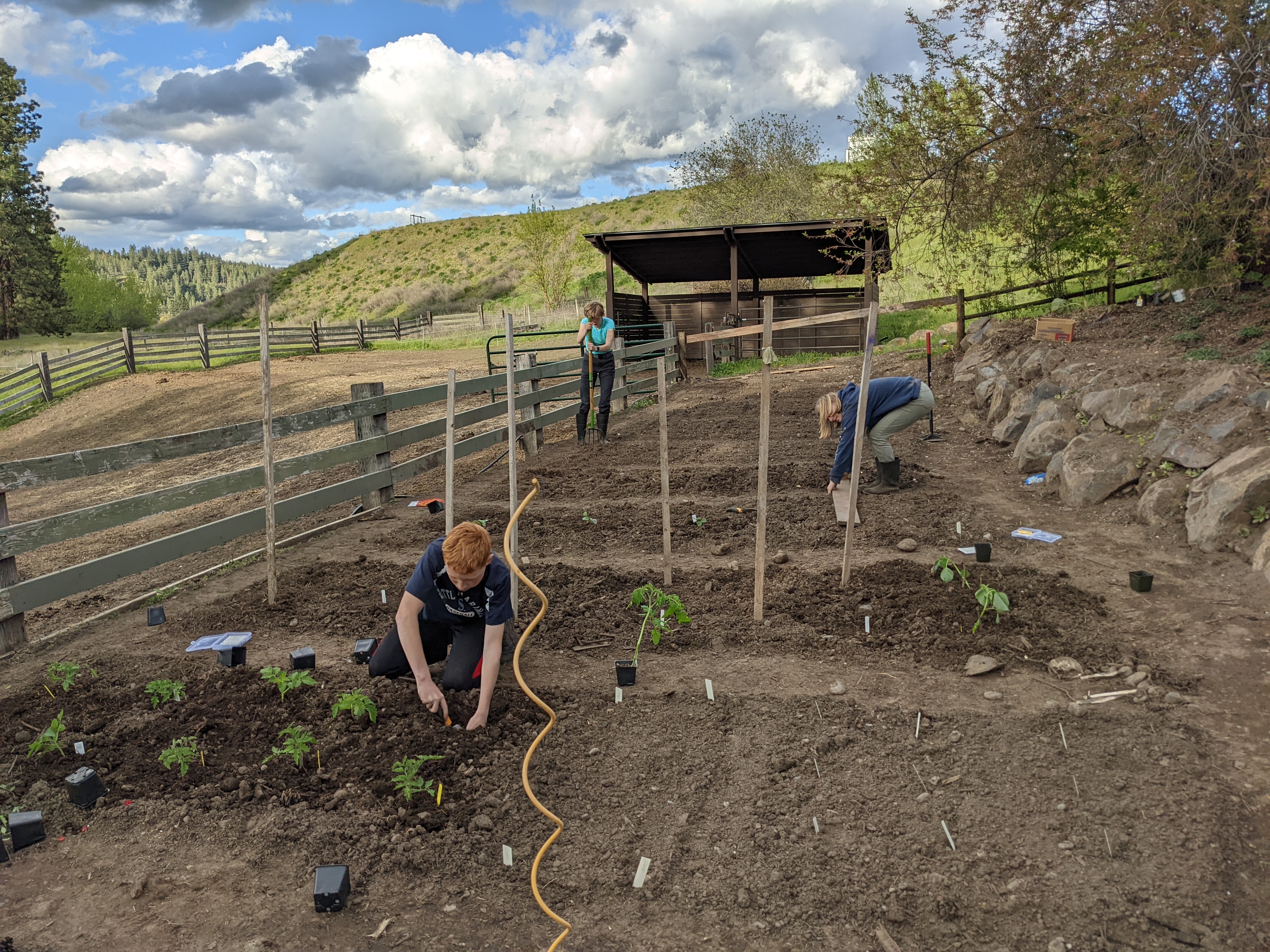 Gardening