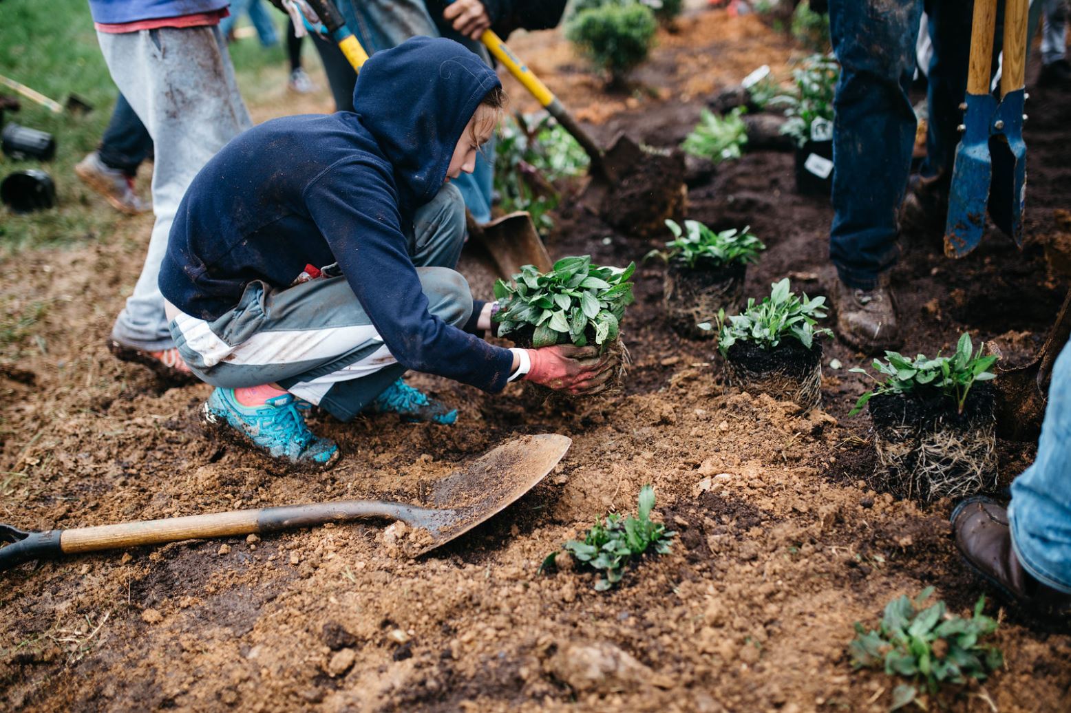 Volunteer kneeling to plant (photo by Caitlin Moulton of Caitlin Marie Photography)