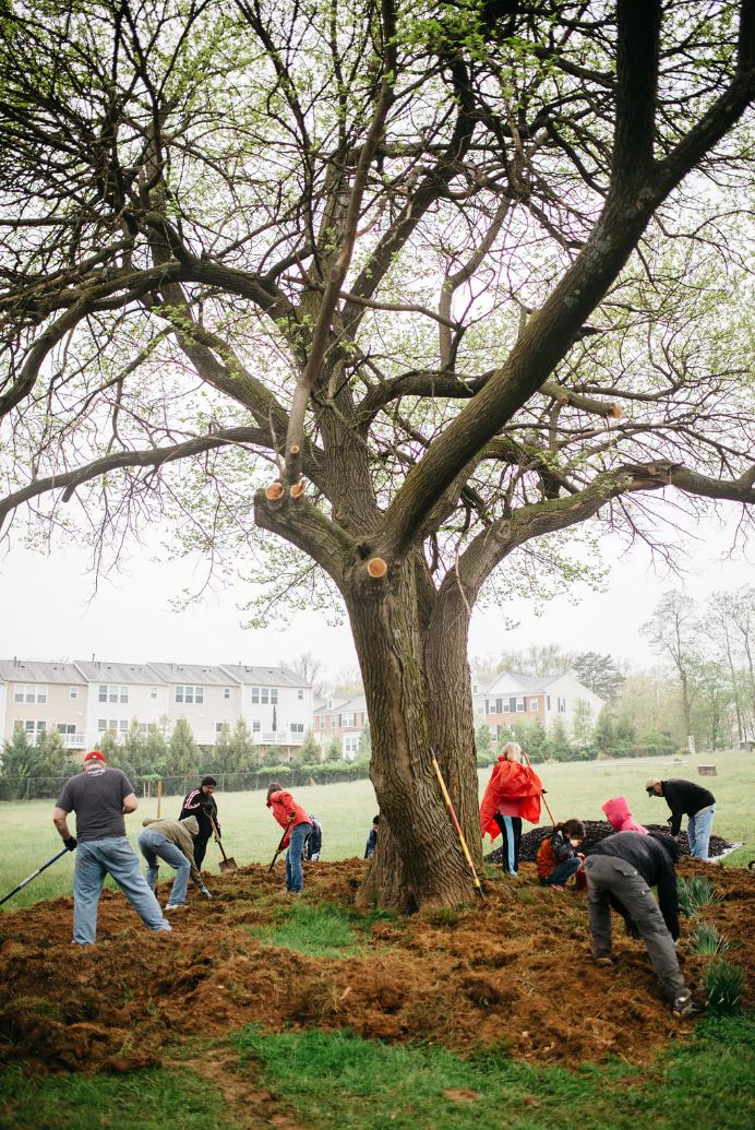 Working under a tree on the historic site (photo by Caitlin Moulton of Caitlin Marie Photography)